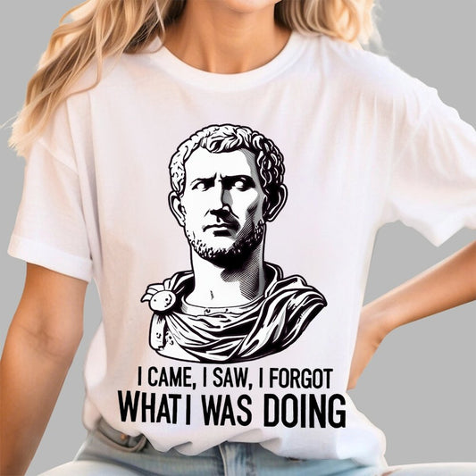 I Came  I saw  I forgot What I was Doing Geek T-Shirt