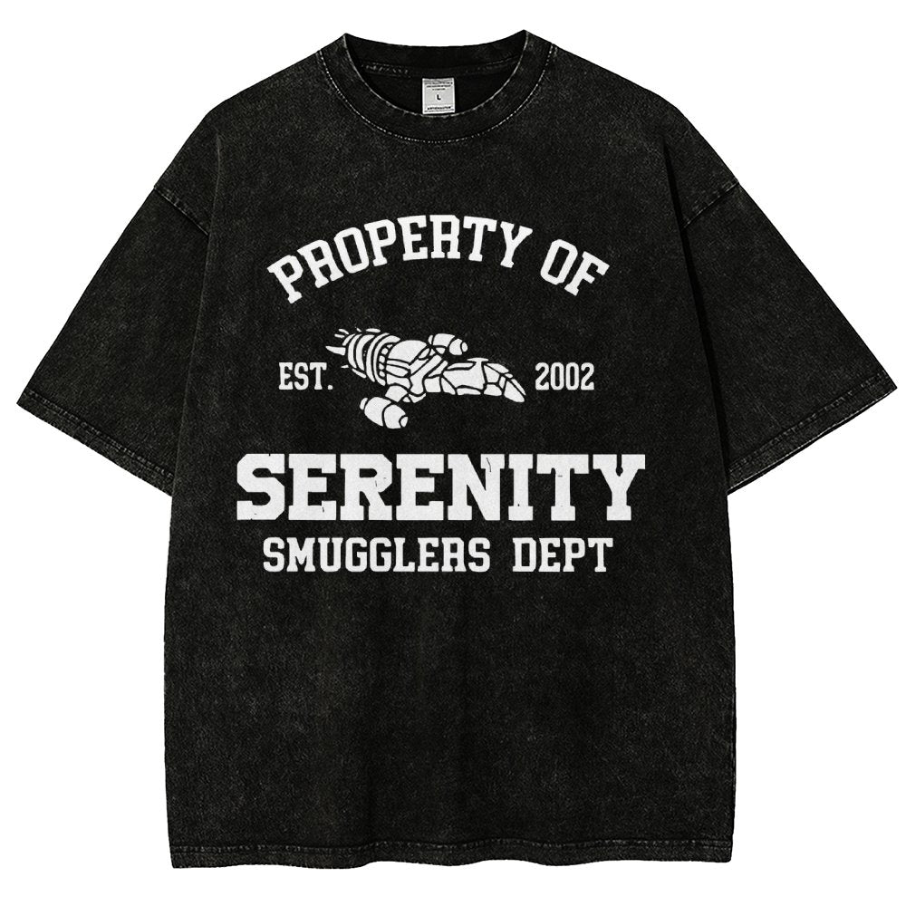 Property of Starlight Vintage Distressed T-shirt