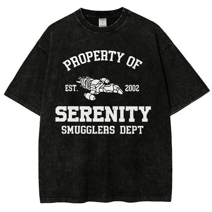 Property of Starlight Vintage Distressed T-shirt