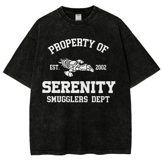 Property of Starlight Vintage Distressed T-shirt