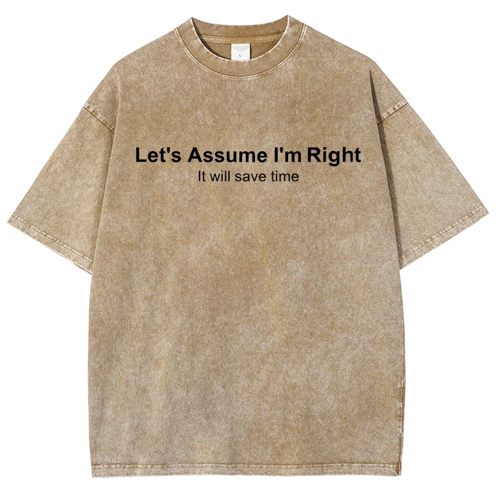 Let's Assume I Am Right Vintage Distressed T-shirt