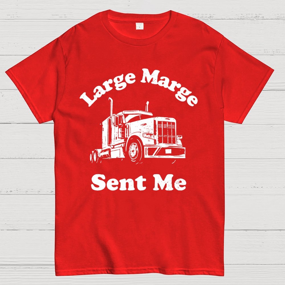 Mysterious Lady Sent Me Geek T-Shirt