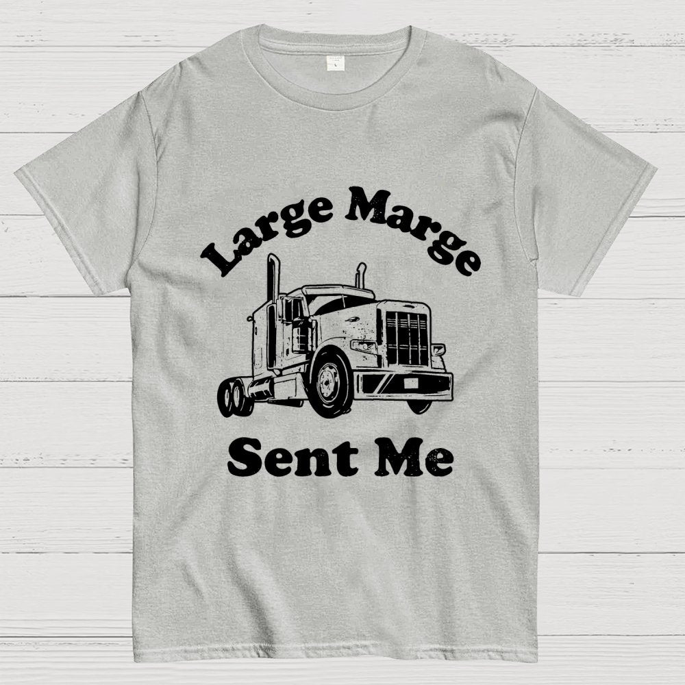 Mysterious Lady Sent Me Geek T-Shirt