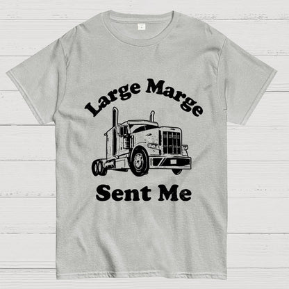 Mysterious Lady Sent Me Geek T-Shirt