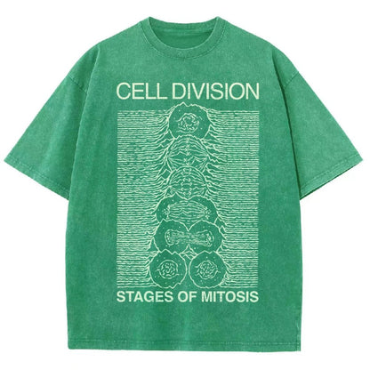Cell Division- Stages of Mitosis Vintage Distressed T-shirt