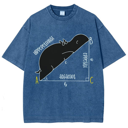 Interesting Math Teacher Math Lover Math Geek Vintage Distressed T-shirt