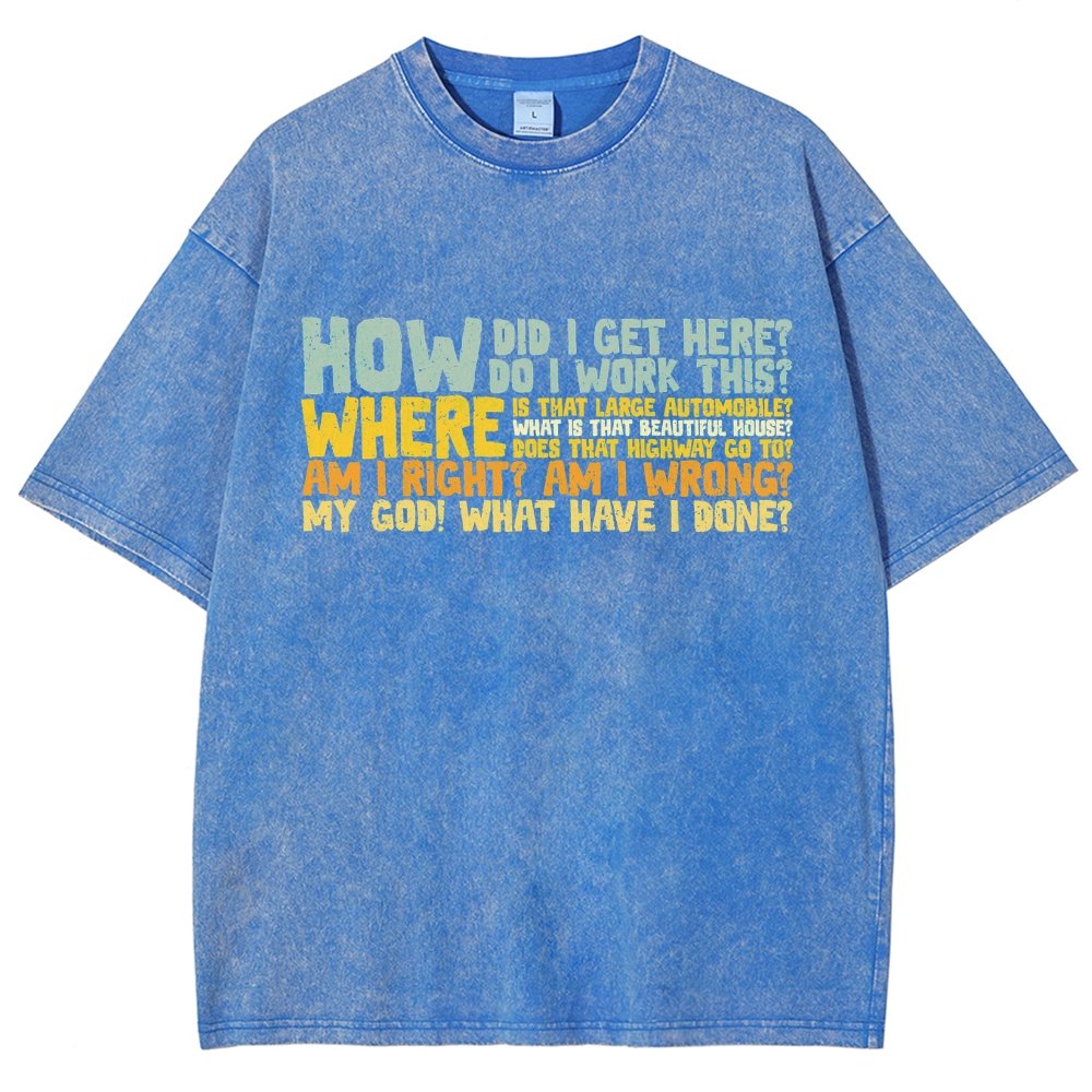 How Did I Get Here Vintage Distressed T-shirt