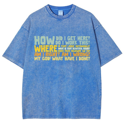 How Did I Get Here Vintage Distressed T-shirt