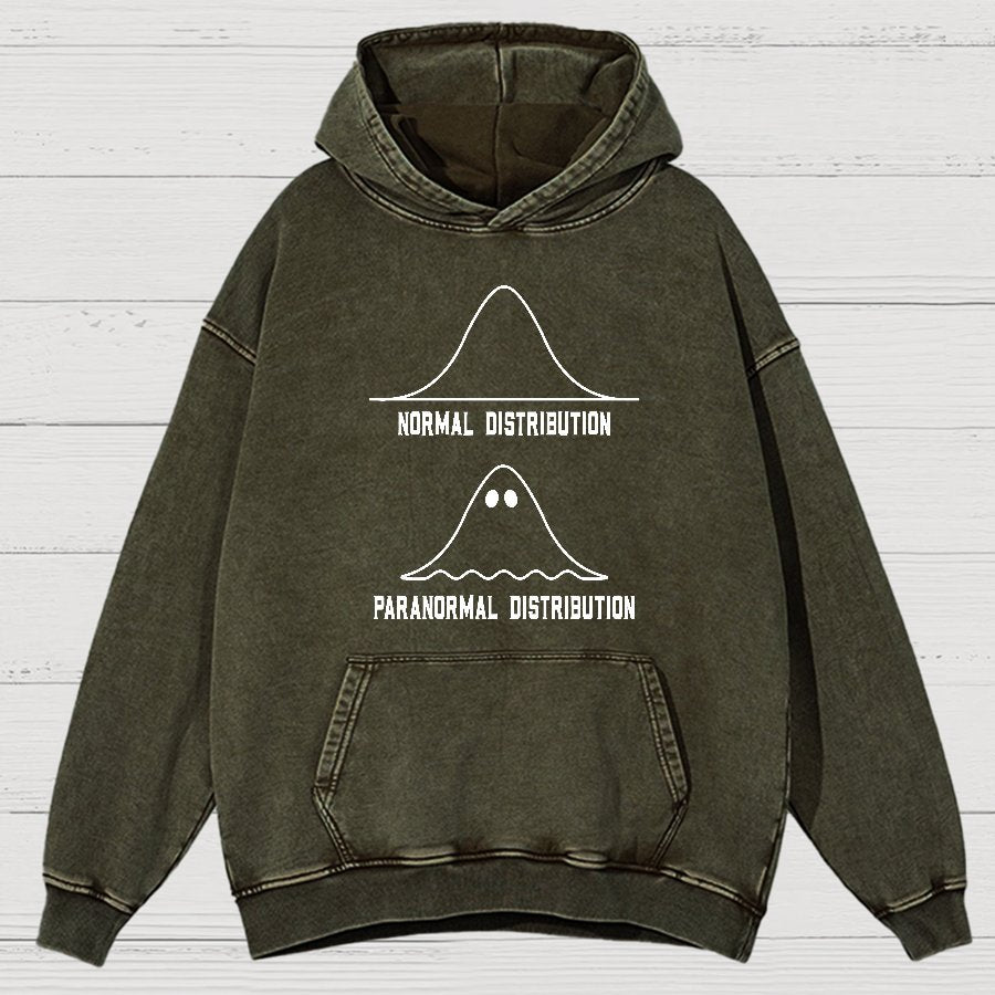 Math Statistics Normal Distribution Paranormal Distribution teacher gift Classic Vintage Distressed Hoodie