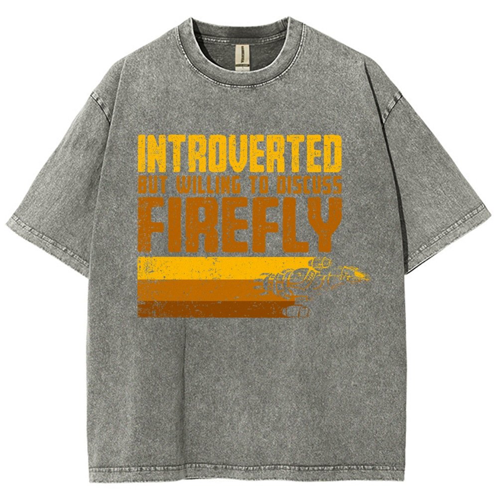 Introverted Wanderer Vintage Distressed T-shirt