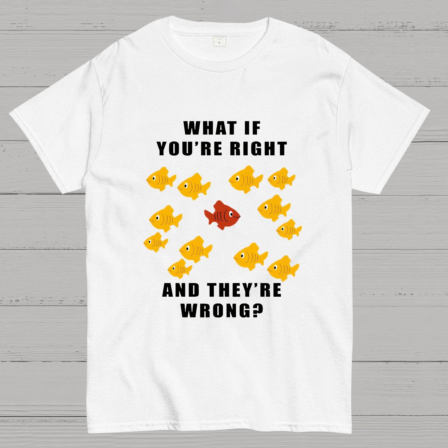 What If You're Right And They're Wrong Geeky T-Shirt