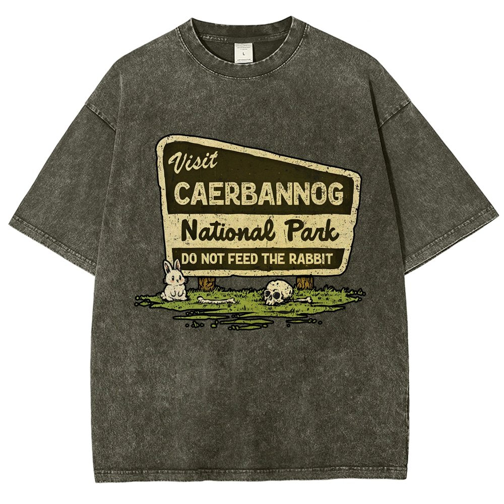 Mystic Valley National Park Vintage Distressed T-shirt