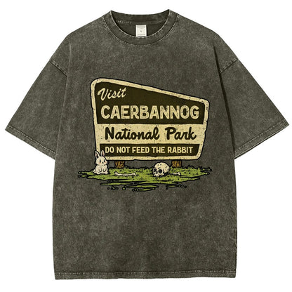 Mystic Valley National Park Vintage Distressed T-shirt
