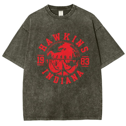 Maplewood 1983 Indiana Vintage Distressed T-shirt