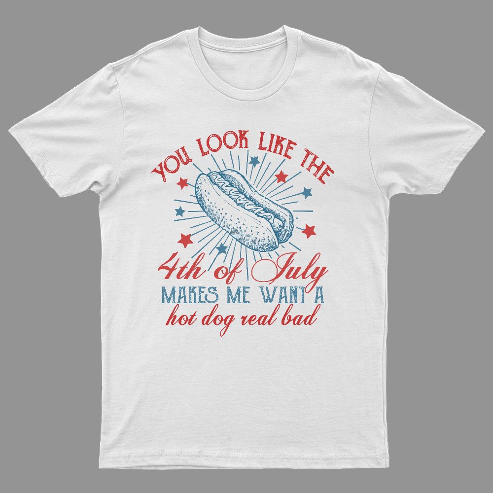 You Look Like the 4th of July Geeky T-Shirt