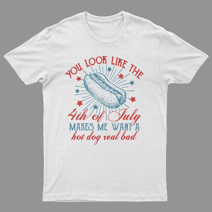 You Look Like the 4th of July Geeky T-Shirt