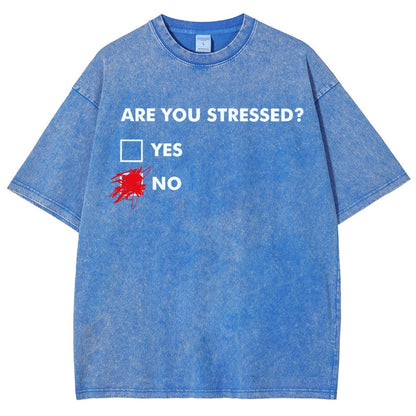 Fuuny Word Are You Stressed No Vintage Distressed T-shirt