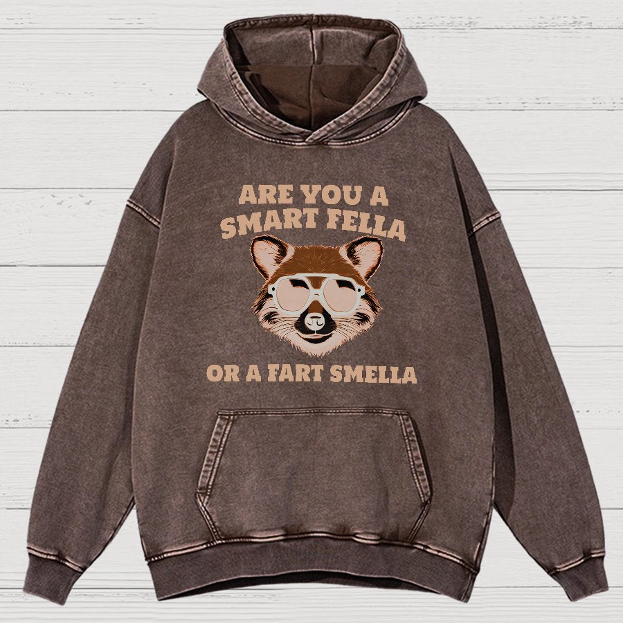 Are You A Smart Fella Or Fart Smella Vintage Distressed Hoodie