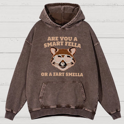 Are You A Smart Fella Or Fart Smella Vintage Distressed Hoodie