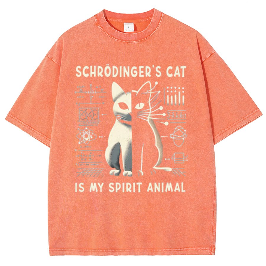 Schrodinger's Сat Science Vintage Distressed T-shirt