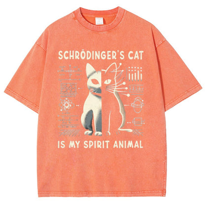 Schrodinger's Сat Science Vintage Distressed T-shirt
