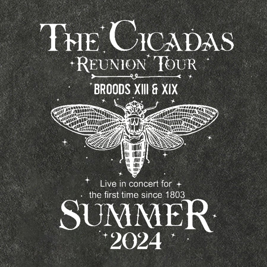 The Cicada Reunion U.S Tour 2024 Cicada Vintage Distressed T-shirt