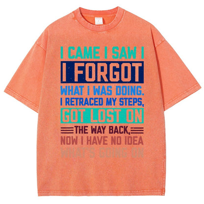 I Came I Saw I Forgot What I Was Doing Sarcastic Vintage Distressed T-shirt