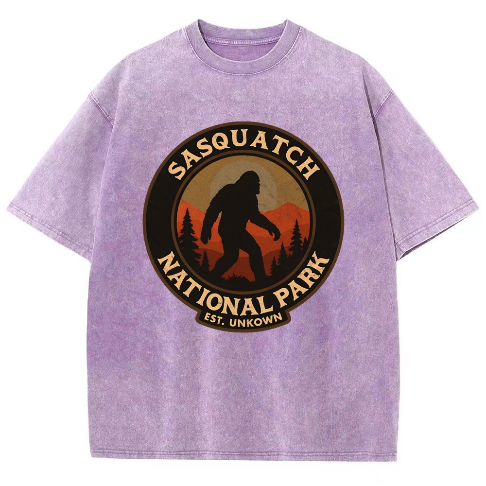 Sasquatch National Park Vintage Distressed T-shirt