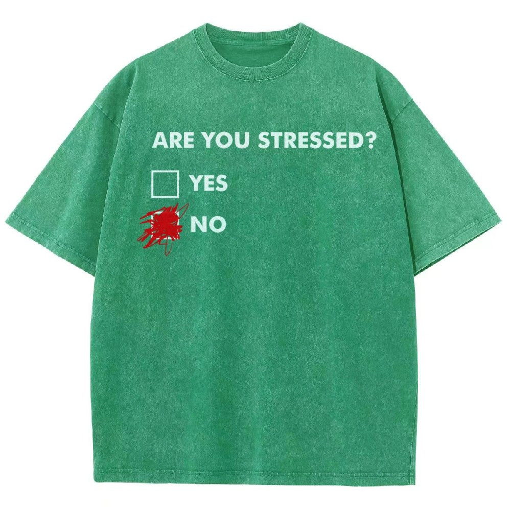 Fuuny Word Are You Stressed No Vintage Distressed T-shirt