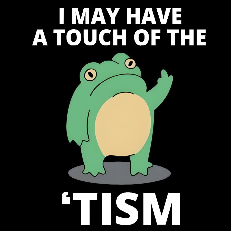 I May Have a Touch of the Tism Funny Geek T-Shirt