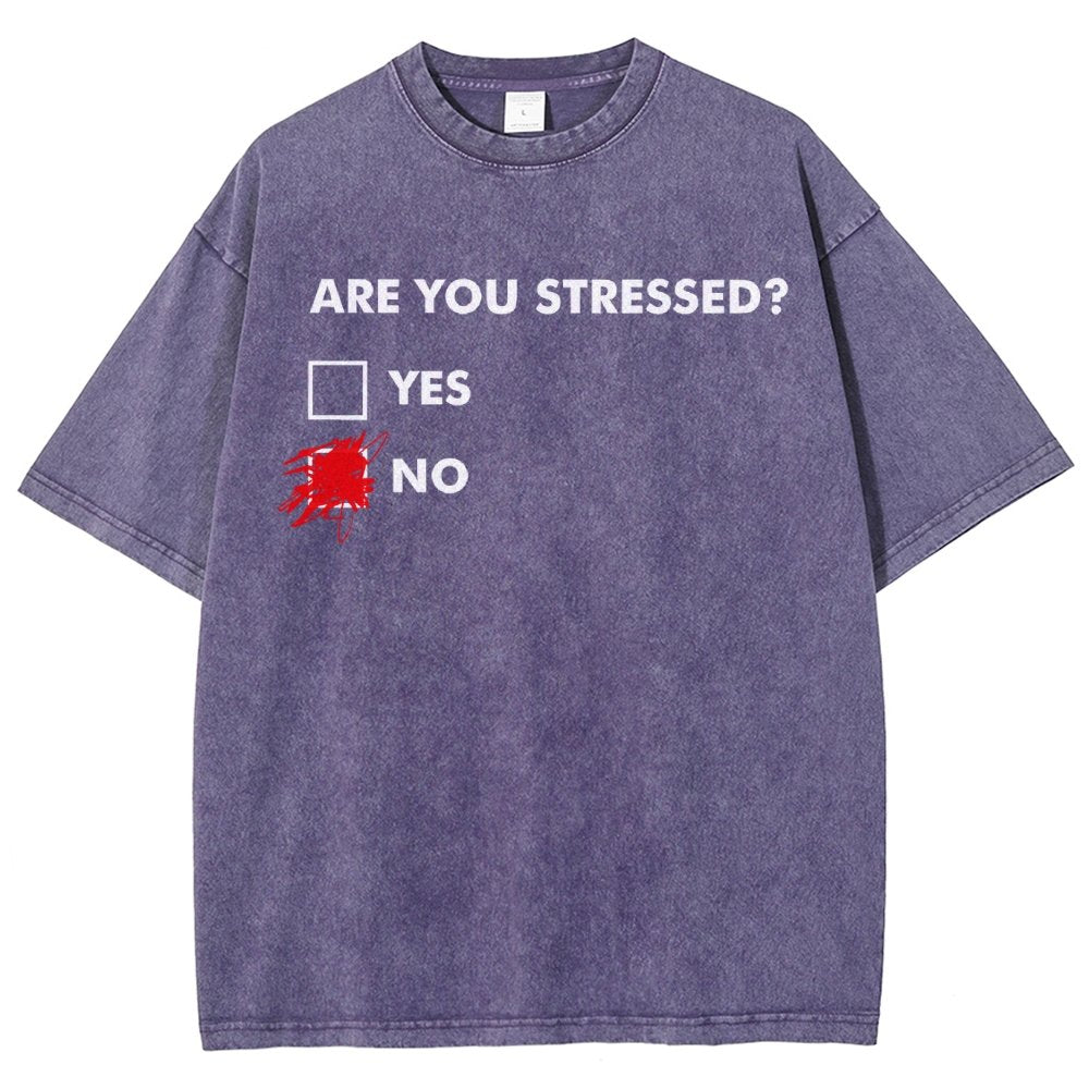 Fuuny Word Are You Stressed No Vintage Distressed T-shirt