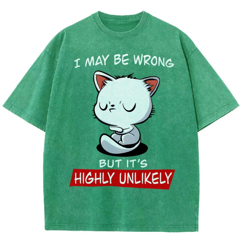 I May Be Wrong Vintage Distressed T-shirt