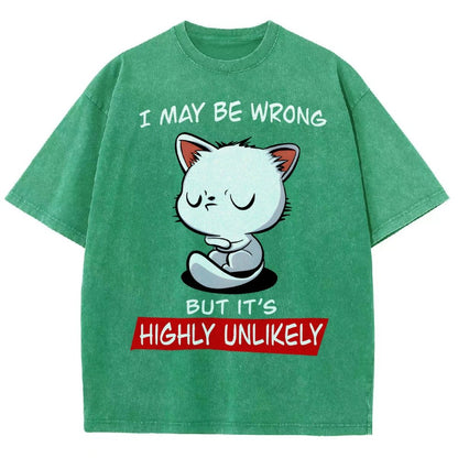 I May Be Wrong Vintage Distressed T-shirt