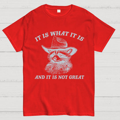 t Is What It Is And It Is Not Great Vintage Raccoon Geeky T-Shirt