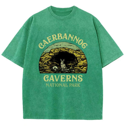 Mystic Caverns National Park Vintage Distressed T-shirt