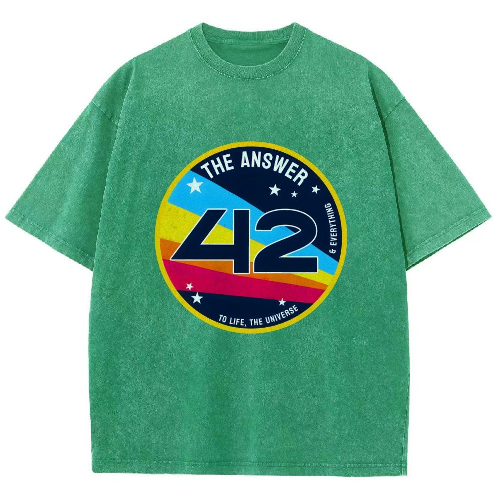 The Answer is 42 Vintage Distressed T-shirt