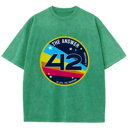 The Answer is 42 Vintage Distressed T-shirt