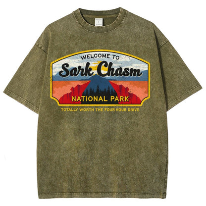 Welcome To Sarcasm Remix Vintage Distressed T-shirt