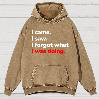 I Came. I Saw. I Forgot What I Was Doing Vintage Distressed Hoodie