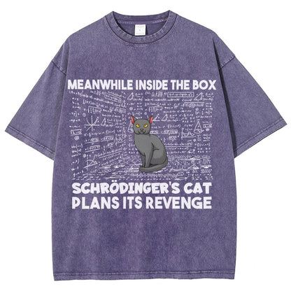 Inside The Box Schrödingers Cat Plans Its Revenge Vintage Distressed T-shirt