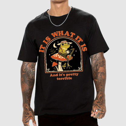 It Is What It Is And It's Pretty Terrible Geek T-Shirt