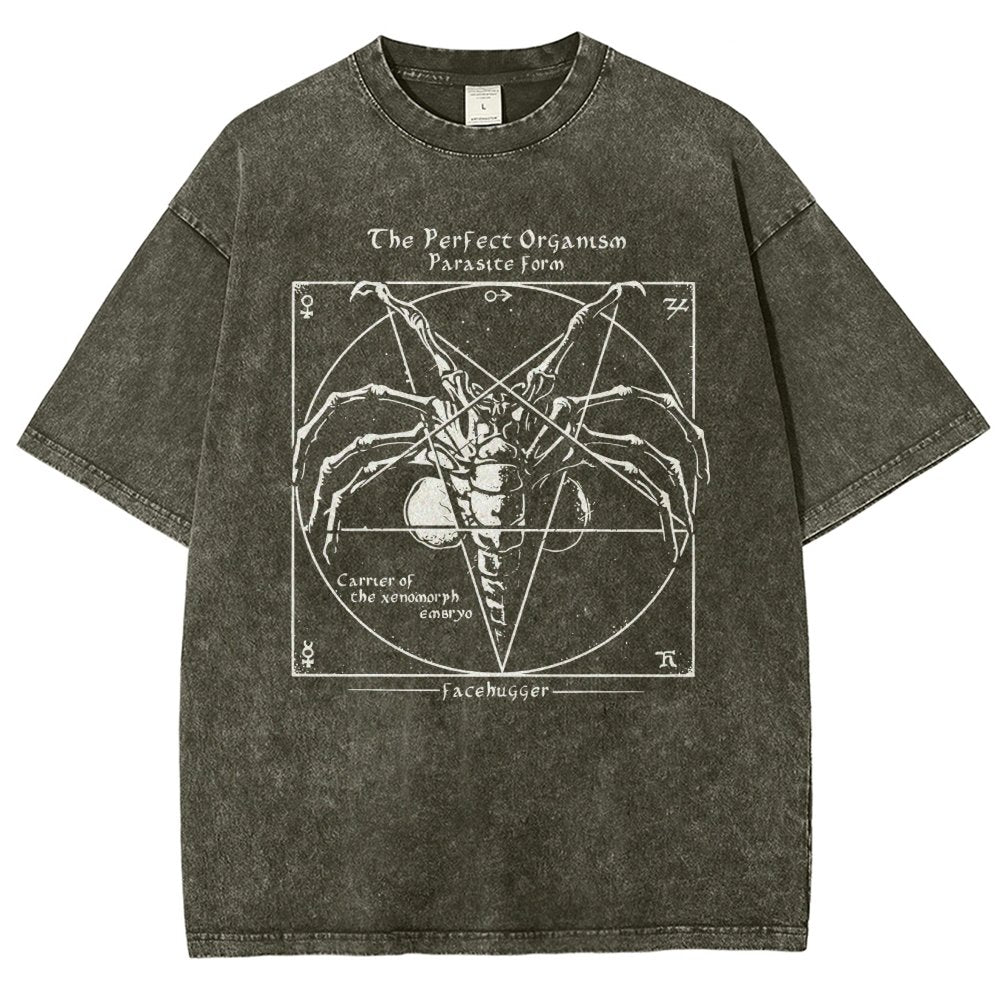 Mystery Pentagram Vintage Distressed T-shirt