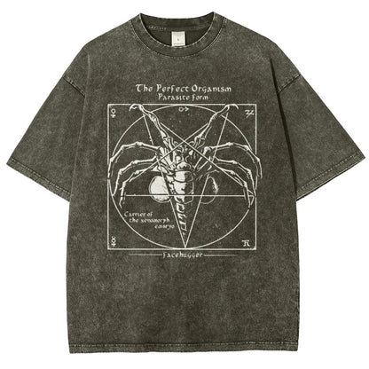 Mystery Pentagram Vintage Distressed T-shirt