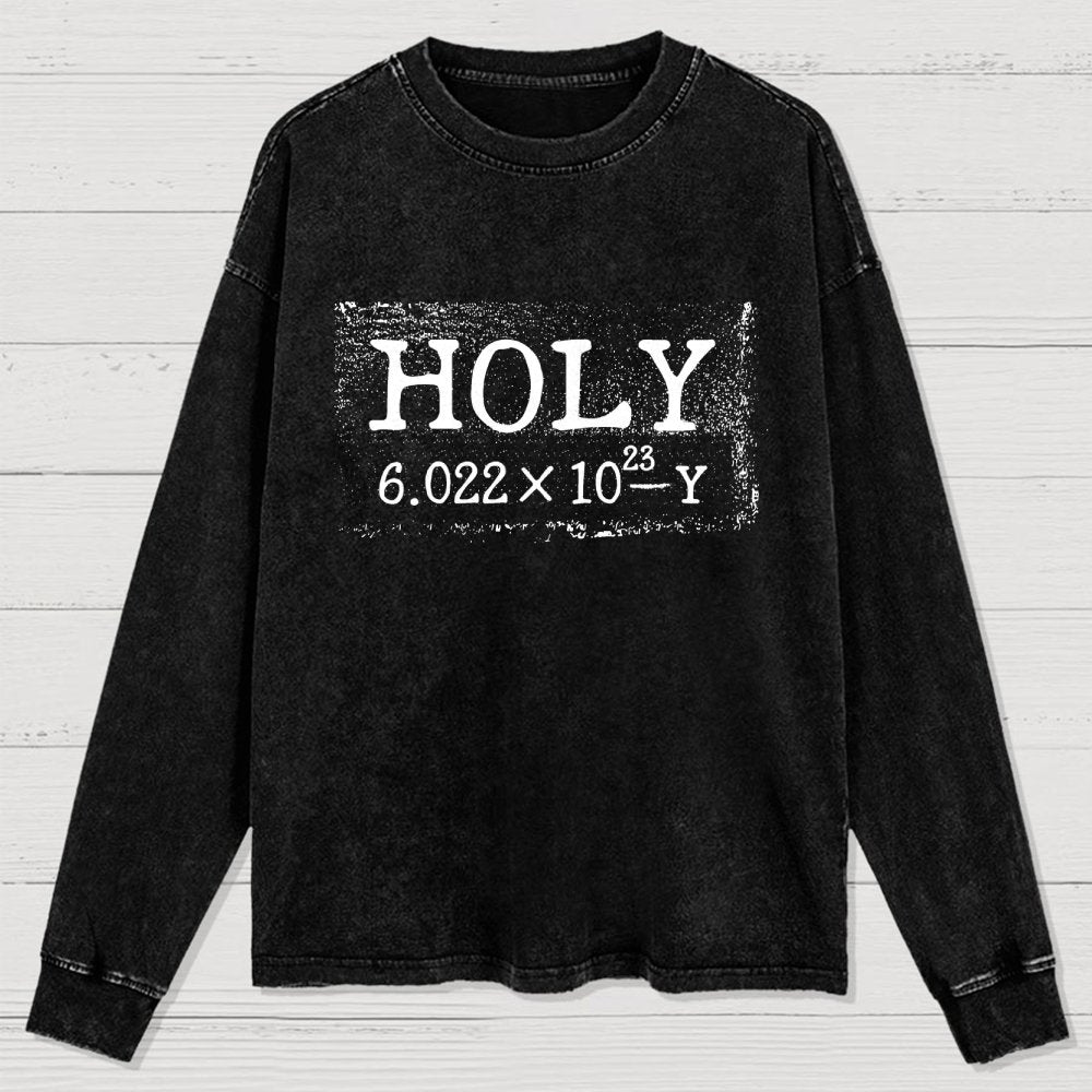 Holy Moley Avogadro Mole  Funny Washed Long Sleeve Tee