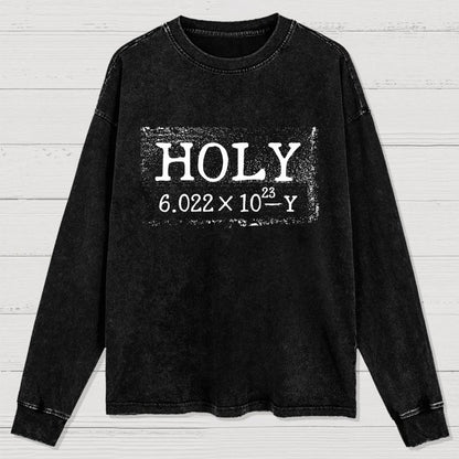 Holy Moley Avogadro Mole  Funny Washed Long Sleeve Tee