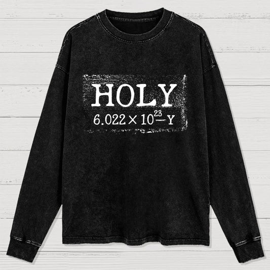 Holy Moley Avogadro Mole  Funny Washed Long Sleeve Tee