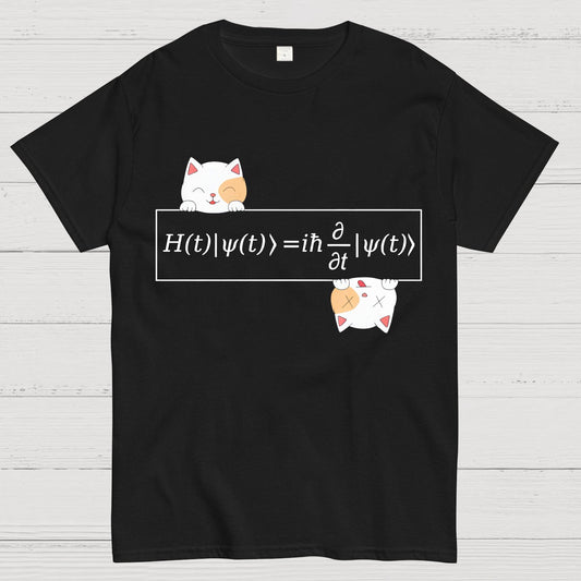 Schrödinger equation Geeky T-Shirt