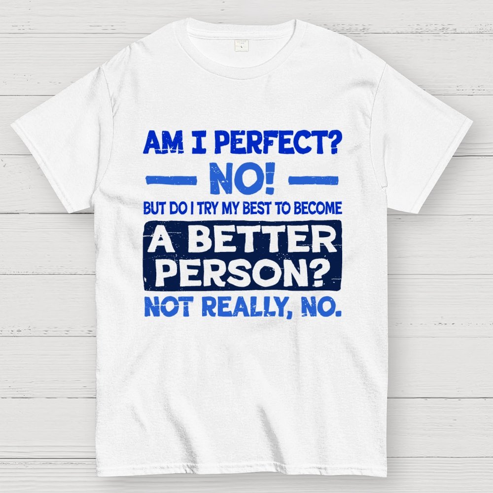 Am I Perfect Geek T-Shirt