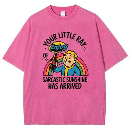 Your Little Ray of Sarcastic Sunshine Has Arrived Vintage Distressed T-shirt