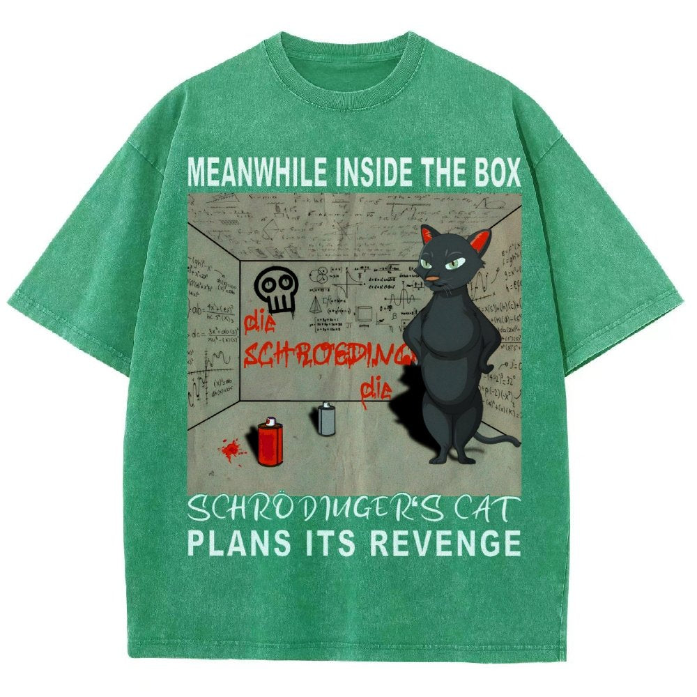 Inside The Box：Schrödingers Cat Plans Its Revenge Vintage Distressed T-shirt